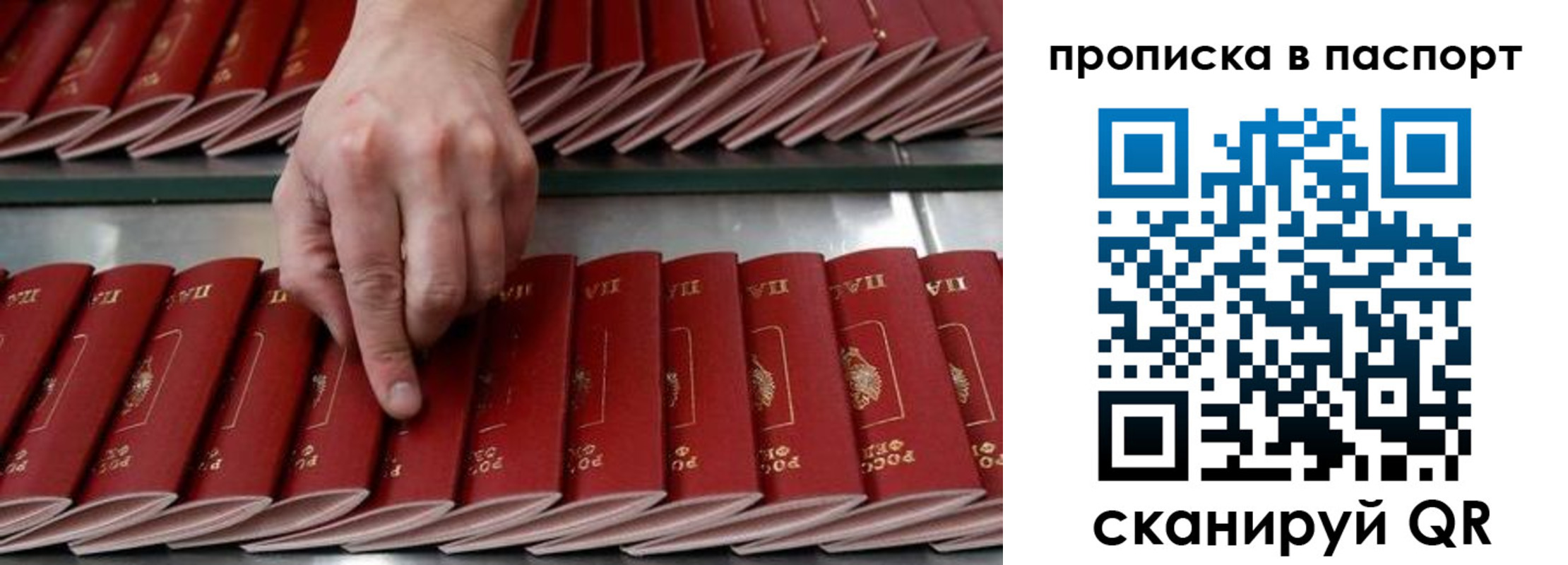 регистрация для школы в Трубчевске